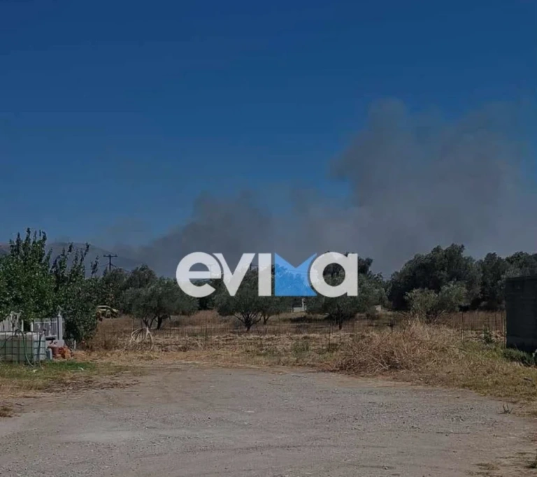Φωτιά στο Αλιβέρι: Στο παρά ένα γλίτωσαν τα σπίτια – Συνελήφθη 60χρονος