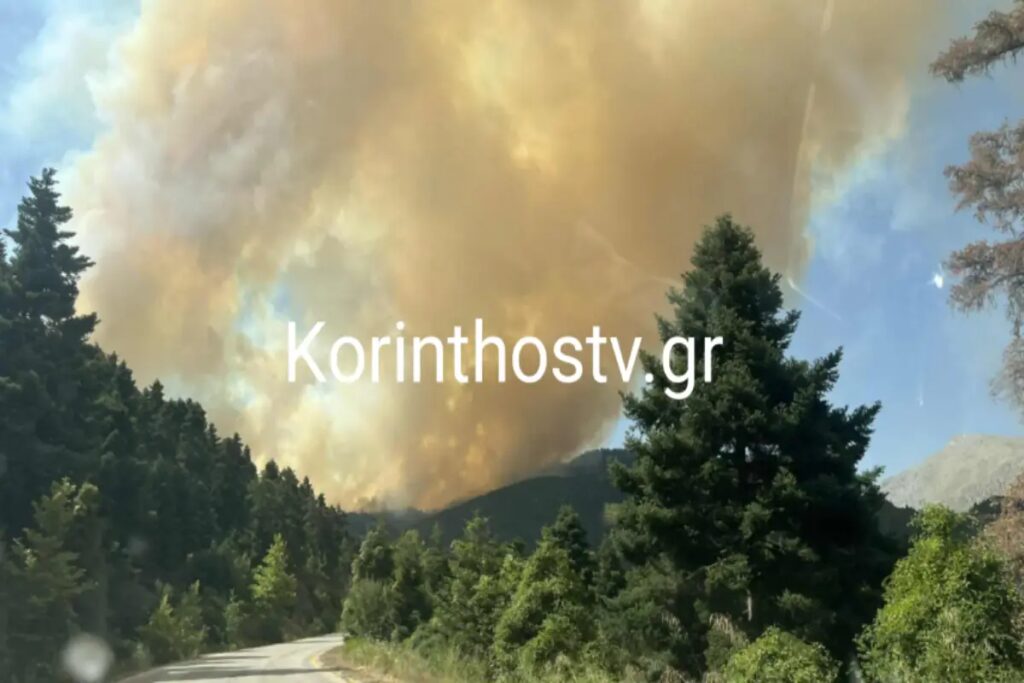 Φωτιά στην Κορινθία: Ενισχύονται οι πυροσβεστικές δυνάμεις –  Ήχησε το 112 στην Καστανιά [Βίντ