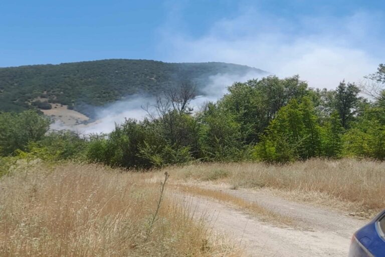 Κοζάνη: Σε εξέλιξη η φωτιά στο Δρέπανο – Μια σύλληψη από την Πυροσβεστική