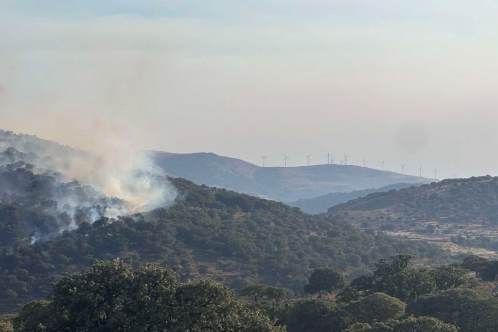 Λέσβος: Ένοχος για εμπρησμό από αμέλεια ο 20χρονος για τη φωτιά στη Βρίσα