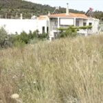 «Ωρολογιακή βόμβα» τα ακαθάριστα οικόπεδα – Κίνδυνος πυρκαγιών