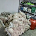 Πικέρμι: Ισπανικό καρτέλ πίσω από τα δέρματα με την εμποτισμένη κοκαΐνη – Εικόνες και βίντεο από την επιχείρηση