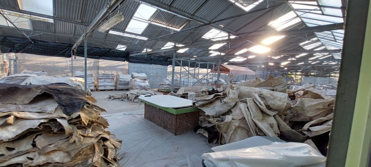 «Φάμπρικα» ναρκωτικών στα νότια προάστια: Μεγάλη επιχείρηση της Αστυνομίας - Έβγαζαν κοκαΐνη από εμποτισμένα δέρματα