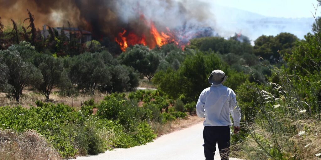 Φωτιά στη Ραφήνα: Δύσκολη η κατάσταση, εκκενώσεις οικισμών και διακοπή κυκλοφορίας [Εικόνες]