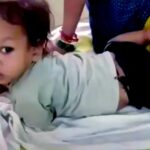 Απίστευτο: 2χρονο αγοράκι σκότωσε κόμπρα με τα… δόντια του – Η συγκλονιστική ιστορία που έγινε viral