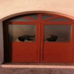 Σέριφος: Κλείδωσαν 27 πρόβατα σε αποθήκη για να πεθάνουν – Τι αναφέρει καταγγελία