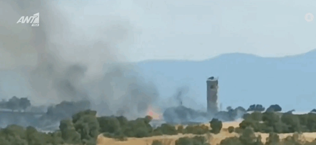 Σέρρες: Πύρινη λαίλαπα σε εργοστάσιο ξυλείας – Κάηκαν 600 στρέμματα και αποθήκες [βίντεο]