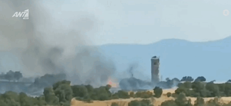 Σέρρες: Πύρινη λαίλαπα σε εργοστάσιο ξυλείας – Κάηκαν 600 στρέμματα και αποθήκες [βίντεο]