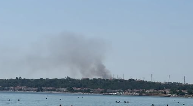 Σε εξέλιξη φωτιά στη Ν. Φώκαια Χαλκιδικής – Ενισχυμένες δυνάμεις της Πυροσβεστικής στο σημείο