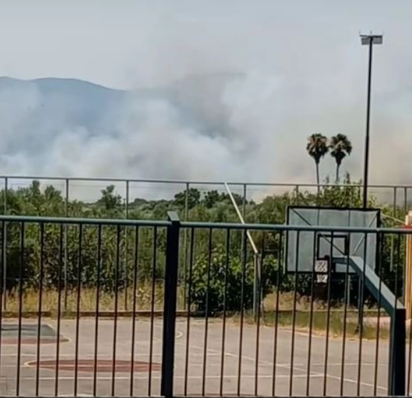 Φωτιά τώρα στο Αριοχώρι της Μεσσηνίας