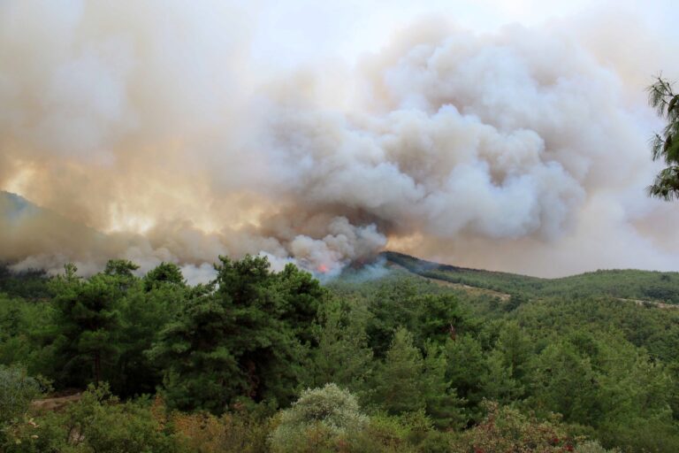 Θάσος: Ολονύχτια μάχη με τις φλόγες στο Γλυκάδι – Σηκώθηκαν 5 εναέρια – Χωρίς ρεύμα μεγάλο τμήμα του νησιού [Βίντεο]