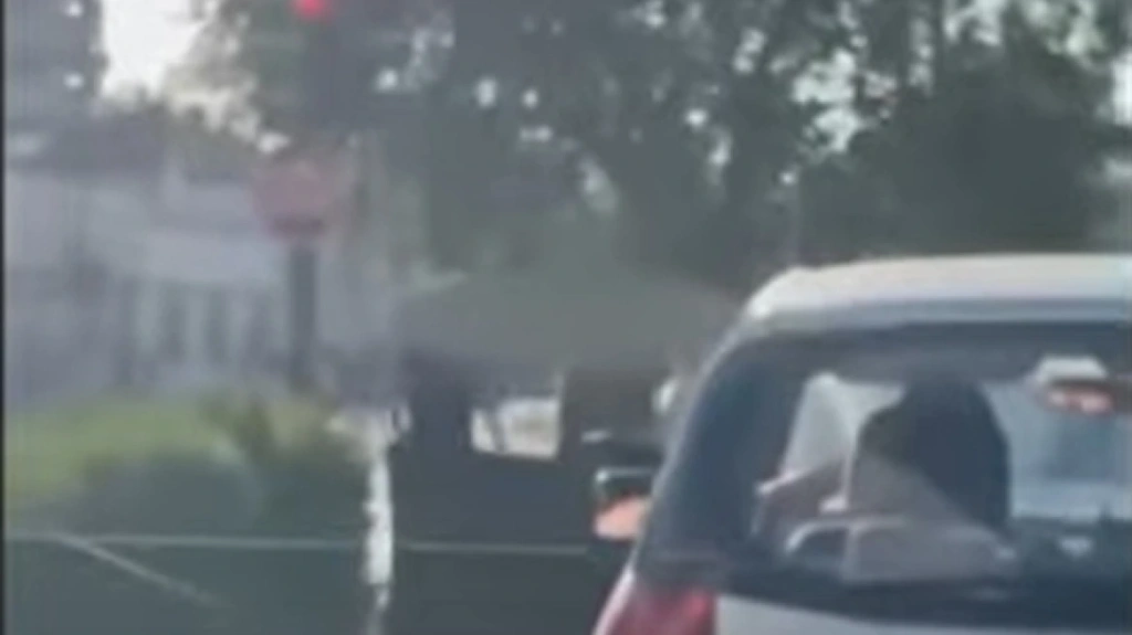 Άγριο ξύλο σε φανάρι κεντρικού δρόμου των Τρικάλων [Βίντεο]
