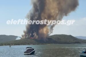 Φωτιά στη Βουρβουρού Χαλκιδικής