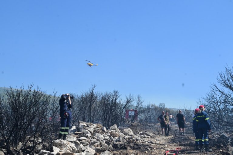 Φωτιά στη Θάσο: Καμία ενεργή εστία – Παραμένει σε επιφυλακή η Πυροσβεστική για αναζωπυρώσεις [βίντεο]