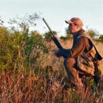 Κυνήγι: Κανένας περιορισμός για αυτά τα 10 είδη θηραμάτων – Όλες οι απαγορεύσεις και οι υποχρεώσεις των κυνηγών