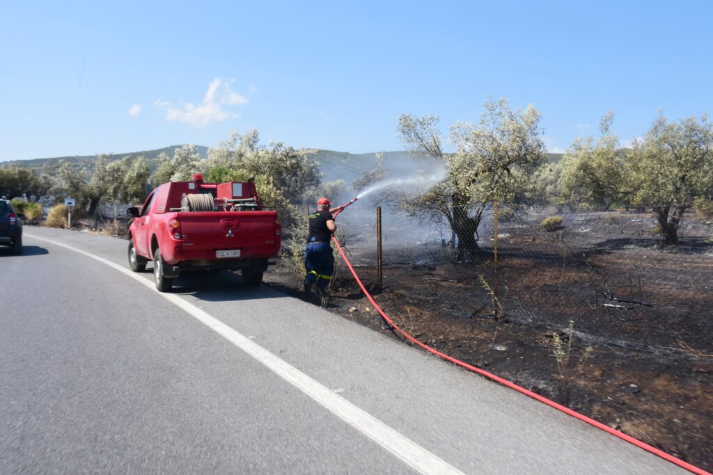 Φωτιά στα Μέγαρα: Μία σύλληψη – Έκαιγε κλαδιά και φύλλα ενώ έπνεαν 9 μποφόρ