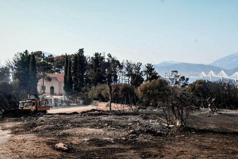 Φωτιές στην Ελλάδα: Τι πρέπει κάνουμε κατά την επιστροφή στο σπίτι πυρόπληκτων περιοχών -Τα 4 SOS