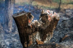 αντιπυρική περίοδο