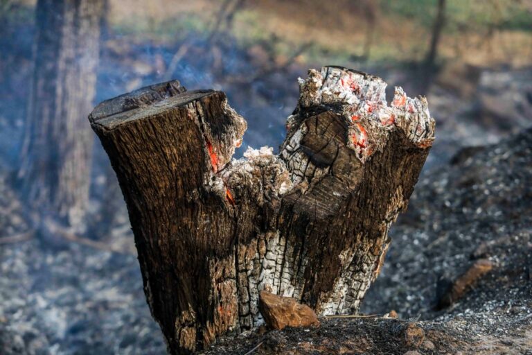 αντιπυρική περίοδο