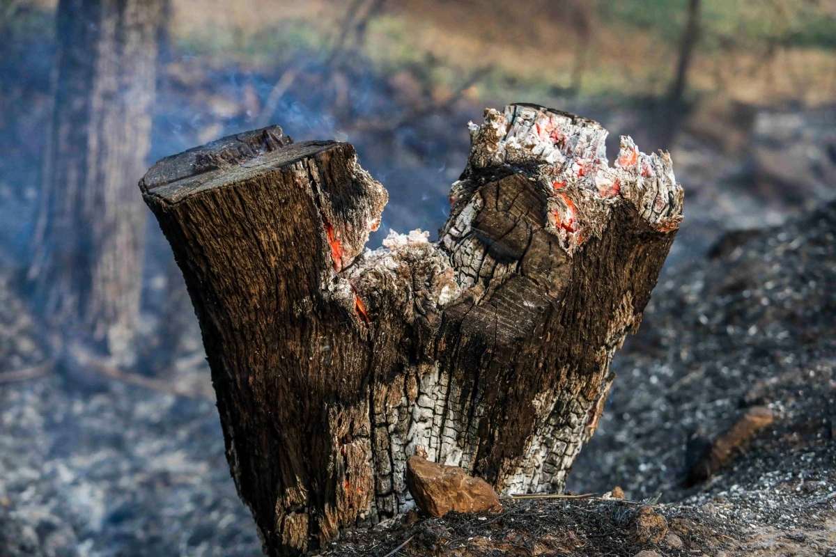 αντιπυρική περίοδο