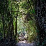 Αχέροντας: Τραυματίστηκε 16χρονη από κατολίσθηση