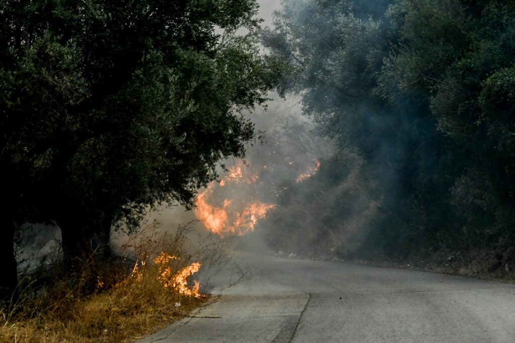 Φωτιά τώρα σε χαμηλή βλάστηση στο Καπελέτο Ηλείας
