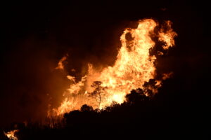 Φωτιά στην Ανατολική Αττική: Σε Θυμάρι και Τριανταφυλλιά το κυρίως πρόβλημα