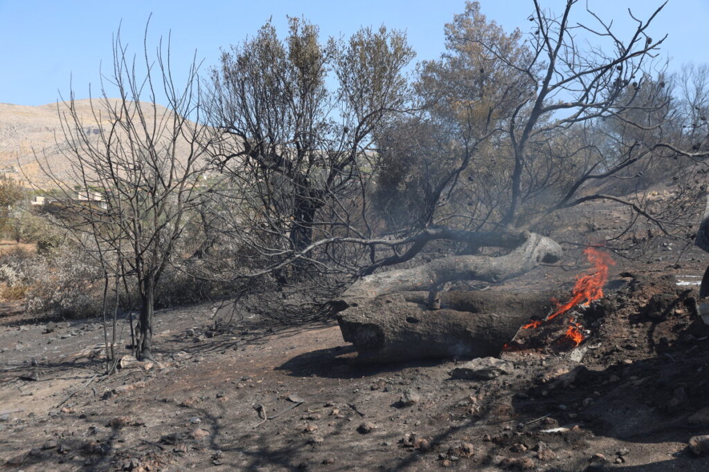 Φωτιά στην Ανατολική Αττική: Αναλυτικά οι καμένες εκτάσεις