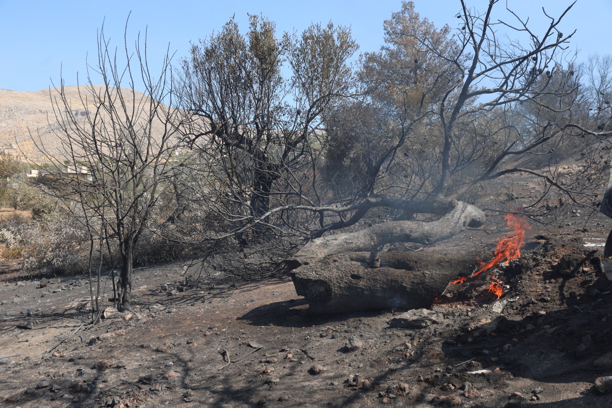 Φωτιά στην Ανατολική Αττική: Αναλυτικά οι καμένες εκτάσεις