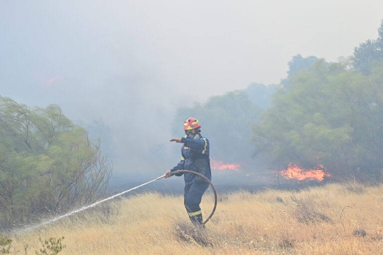 Καλύτερη εικόνα από το πύρινο μέτωπο στη Θεσσαλονίκη – Υπό έλεγχο η φωτιά σε Λέσβο και Χαλκιδική