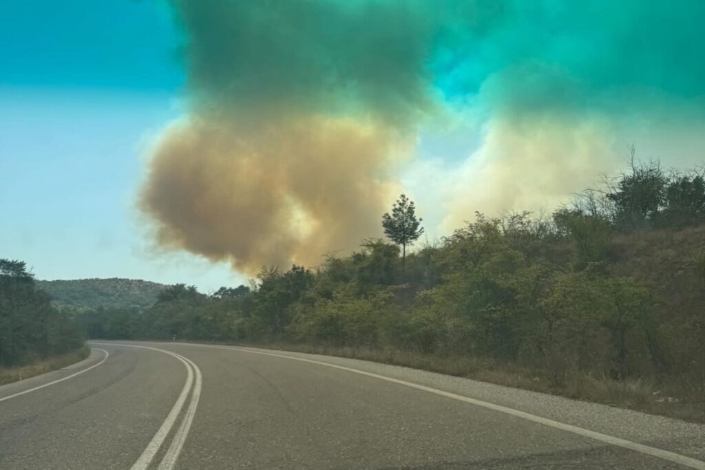Πέλλα: Φωτιά σε χορτολιβαδική έκταση στη Σκύδρα