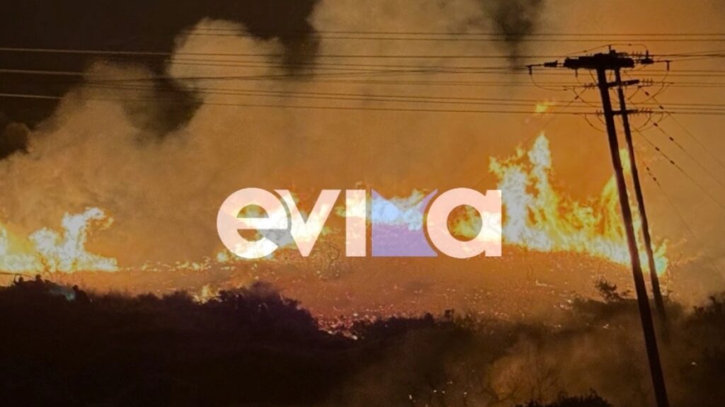 Φωτιά τώρα σε δασική έκταση στα Μεσοχώρια Εύβοιας