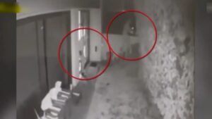 Ασπρόπυργος: Συμμορία έμπαινε σε σπίτια και τα «ξάφριζε» - Βίντεο ντοκουμέντο από τη δράση τους