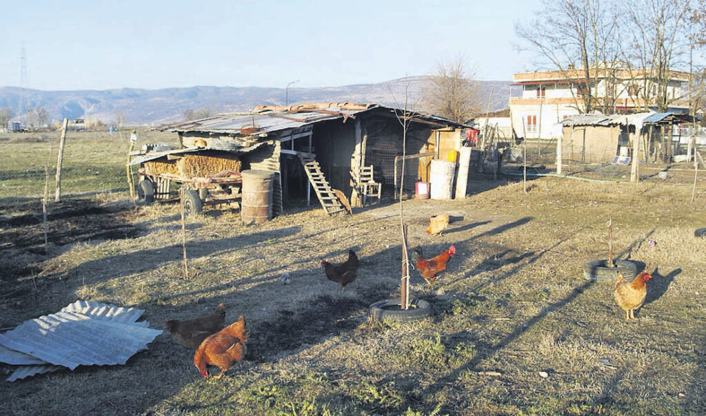 Καμιά φορά χάνουμε τα αβγά και τα πασχάλια