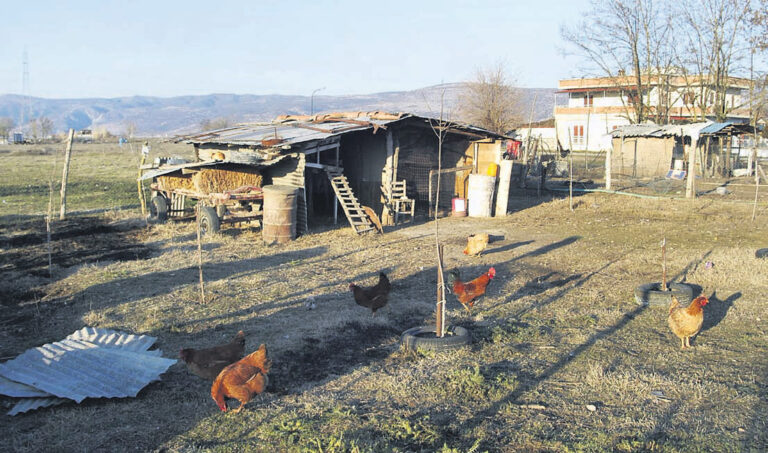 Καμιά φορά χάνουμε τα αβγά και τα πασχάλια
