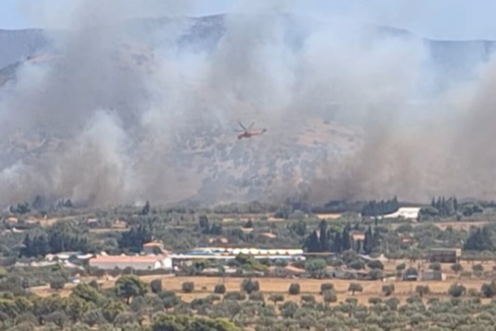 Φωτιά στο Λαύριο: Οριοθετήθηκε το μέτωπο στο Θορικό – Μεγάλη επιχείρηση της Πυροσβεστικής [Βίν