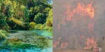Αλβανία: Φωτιές απειλούν το «Γαλάζιο Μάτι» – Κίνδυνος για τα γύρω χωριά της περιοχής [βίντεο]