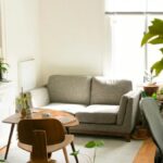 Αυτά τα φυτά απαγορεύονται στο σαλόνι σου σύμφωνα με το Feng Shui – Είναι «κακοί αγγελιοφόροι»