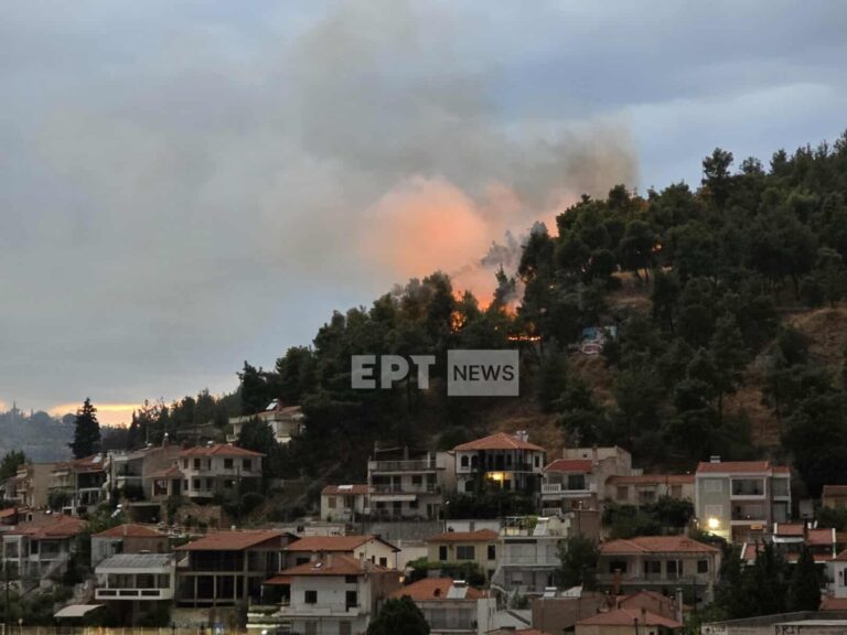 Σέρρες: Φωτιά τώρα στον λόφο του Κουλά – Ήχησε το 112