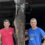 Κοζάνη: Ψαράδες έβγαλαν γουλιανό-γίγαντα 100 κιλών απο την λίμνη Πολυφύτου [εικόνες – βίντεο]