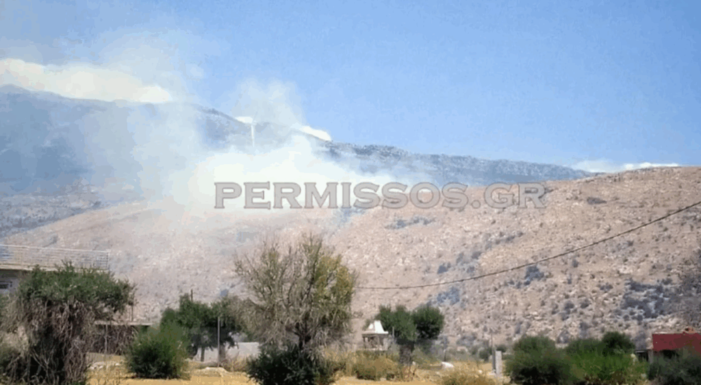 Υπό μερικό έλεγχο η φωτιά στον Πρόδρομο Βοιωτίας – Παραμένουν διάσπαρτες εστίες στην περιοχή