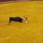 Πορτογαλία: 22χρονος ταυρομάχος πέθανε στη Λισαβόνα μετά από επίθεση ταύρου 700 κιλών [σκληρό βίντεο]