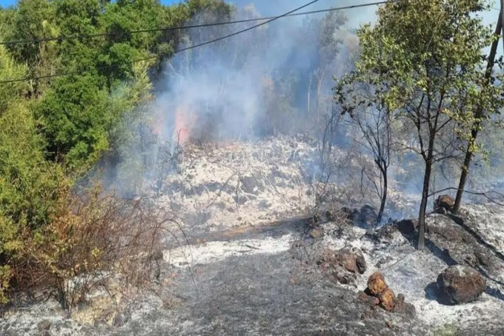 Σαλαμίνα: Συνελήφθη ο άνδρας που έβαλε τη φωτιά