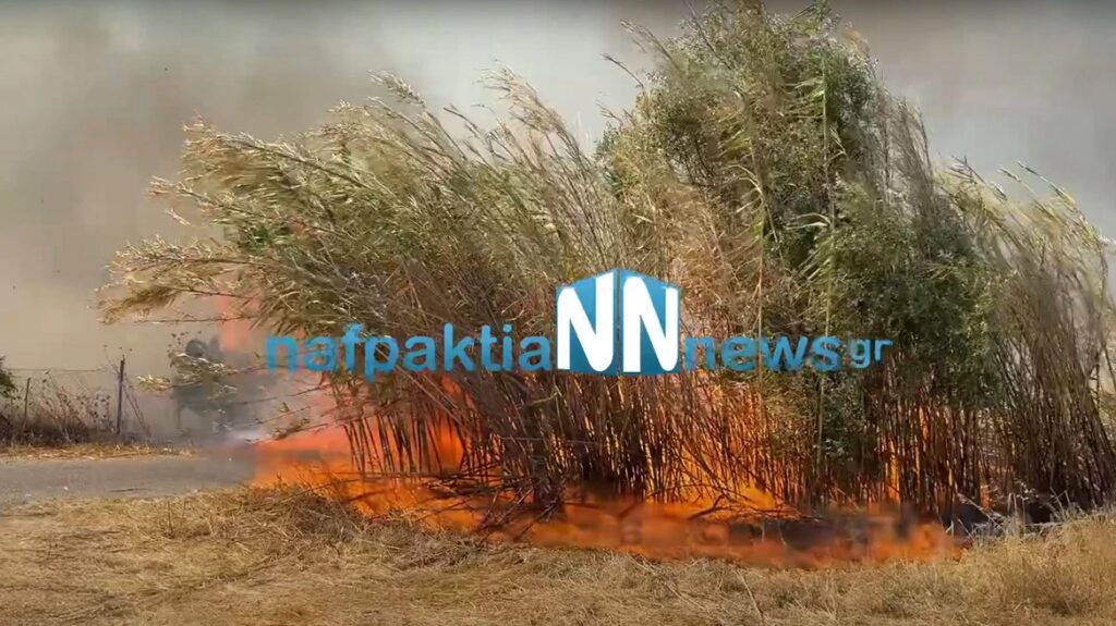 Φωτιά τώρα στον Γαλατά Αιτωλοακαρνανίας – Μήνυμα 112 για ετοιμότητα
