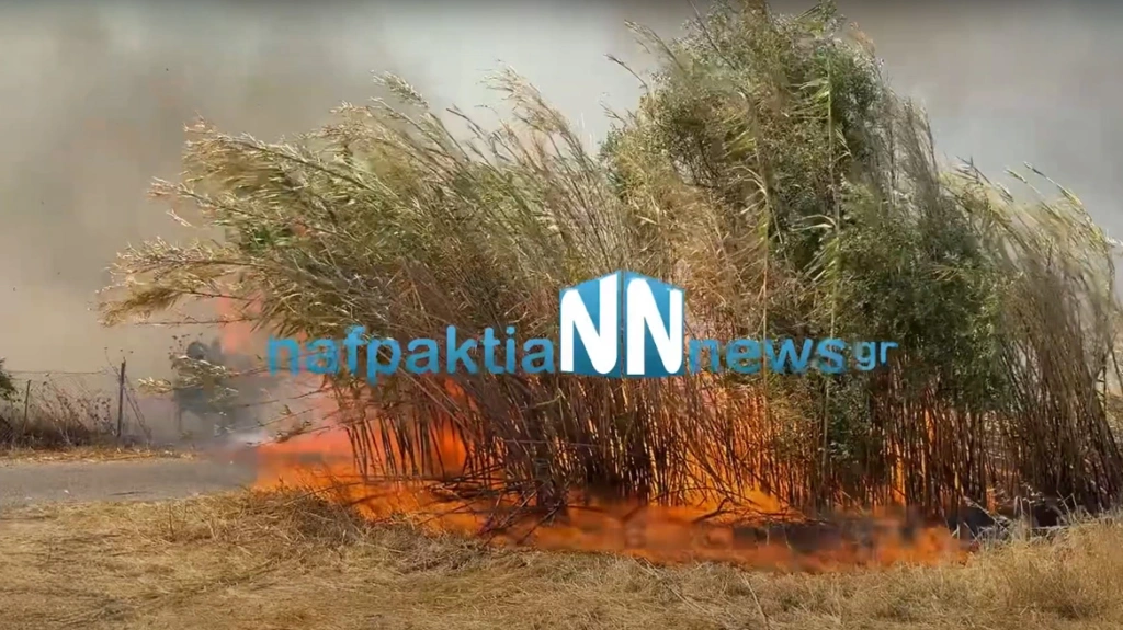 Φωτιά τώρα στον Γαλατά Αιτωλοακαρνανίας – Μήνυμα 112 για ετοιμότητα