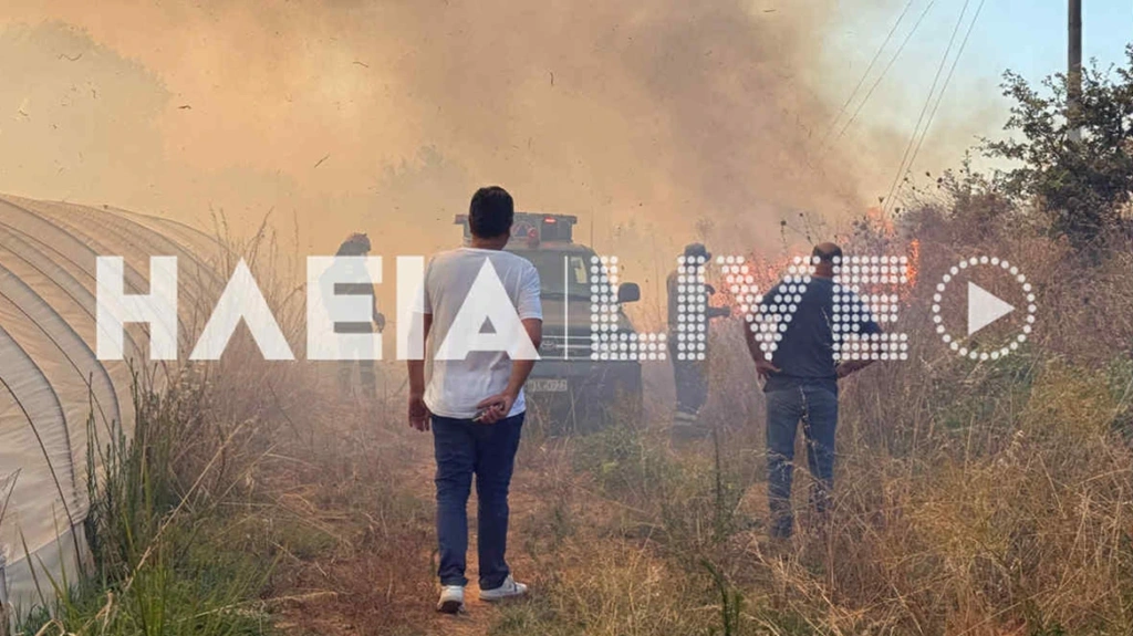 Φωτιά τώρα στα Λεχαινά Ηλείας: Ενισχύθηκαν οι επίγειες και εναέριες δυνάμεις