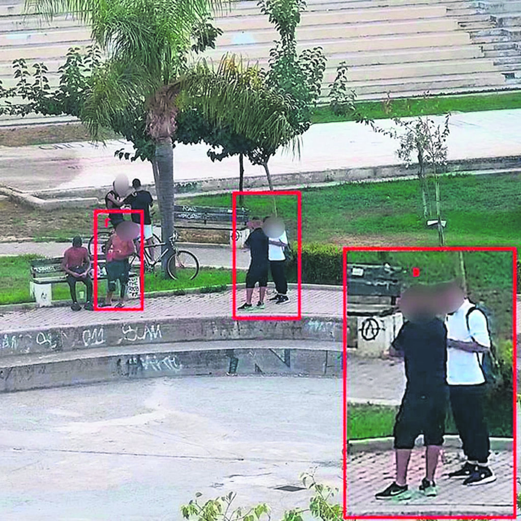 Μαφία στην Κρήτη: Αυτό είναι το «λεξικό» τους – Οι νάνοι, τα μέλια, τα κουφέτα και η… μαϊμού
