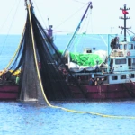 Τι αλλάζει σε ερασιτεχνική και επαγγελματική αλιεία