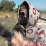 Βοιωτία: Η 62χρονη επιτέθηκε σε δημοσιογράφο της εκπομπής Αλήθειες με τη Ζήνα – Της γύρισε το χέρι και πέταξε το μικρόφωνο