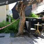 Πτώση δέντρου στην Αθήνα: Στο ΝΙΜΤΣ η γυναίκα που τραυματίστηκε – «Έπεσε λόγω ισχυρών ανέμων» λέει ο Δήμος